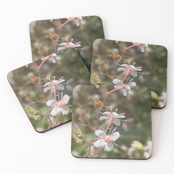 Item preview, saxifragia flower designed and sold by Jennco60.