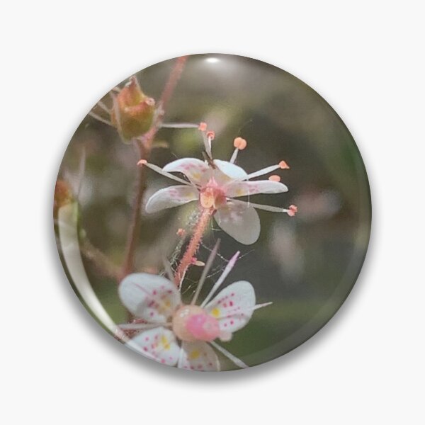 Item preview, saxifragia flower designed and sold by Jennco60.