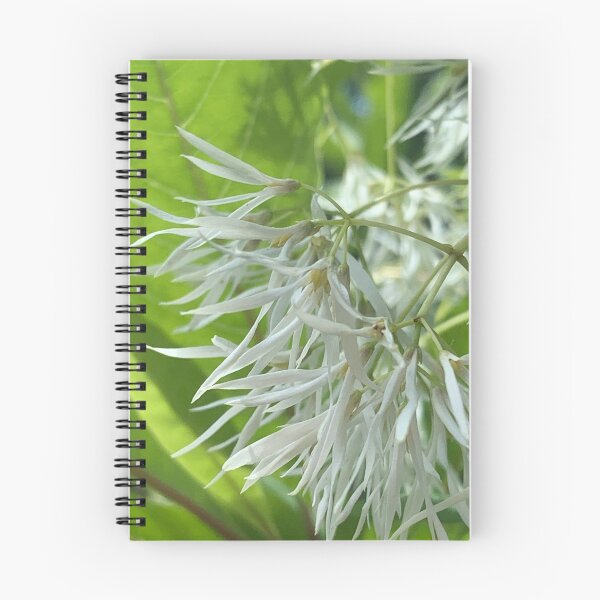 Aperçu de l'œuvre Fleur d'arbre à franges no2 créée et vendue par Jennco60.