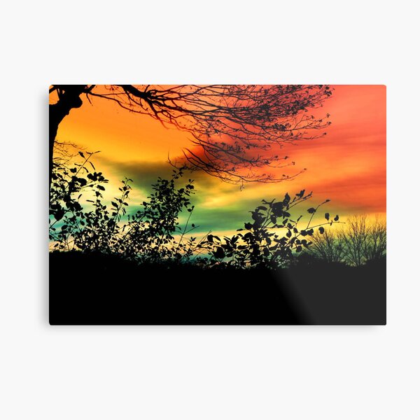 Setting Sun © Metal Print