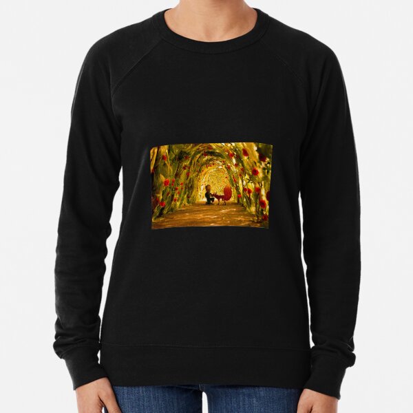 Der kleine Prinz Leichter Pullover