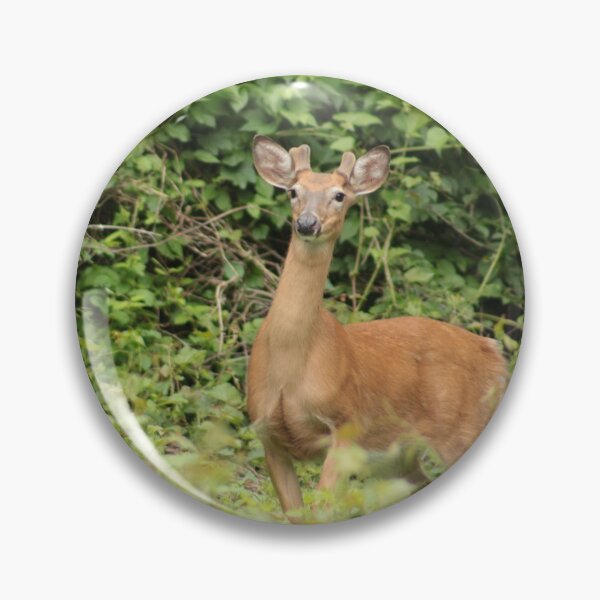 Item preview, Hanlon Park Deer designed and sold by elasita.