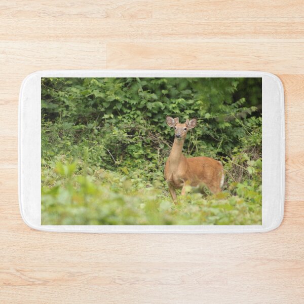 Item preview, Hanlon Park Deer designed and sold by elasita.