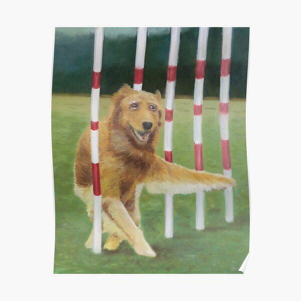 Poles Poster