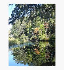 FIRST TOUCH OF FALL Photographic Print