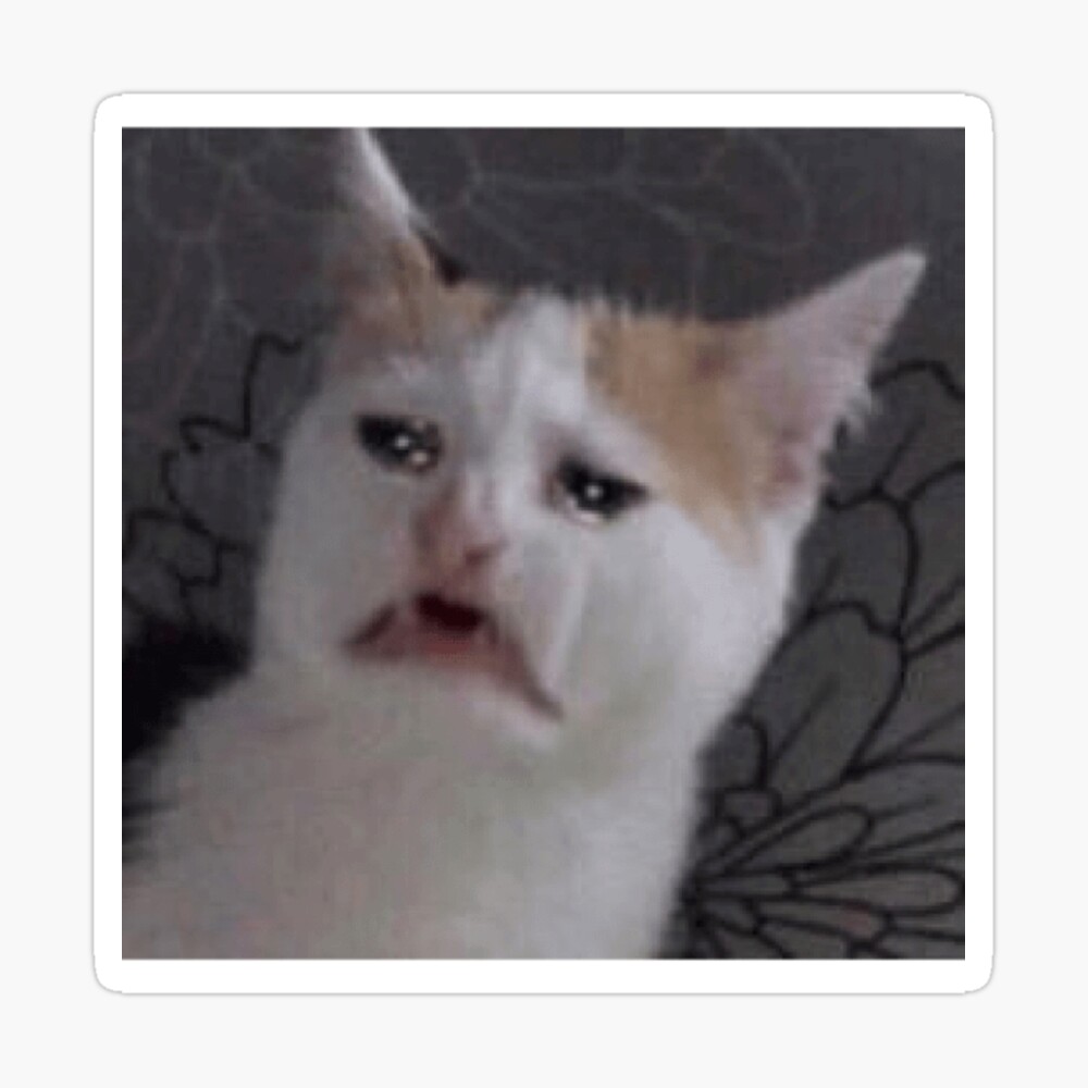 Petition · Bring back the r/memes crying cat logo ·