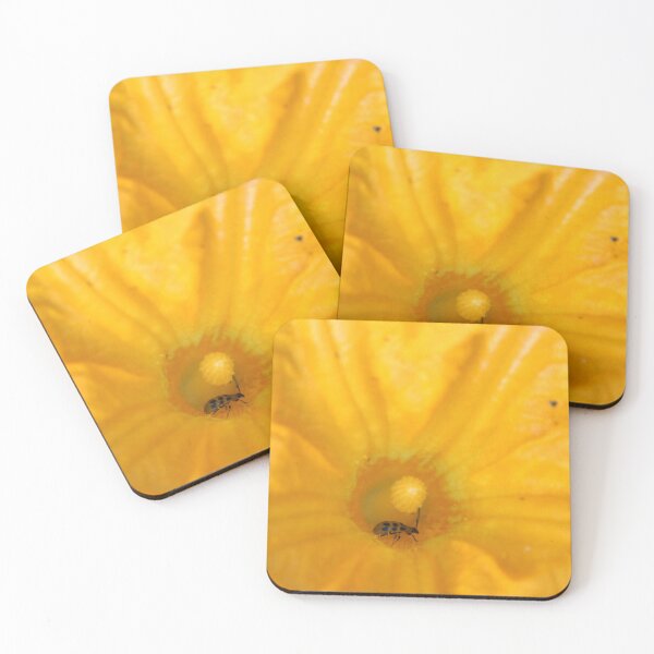 Item preview, In the Center designed and sold by elasita.