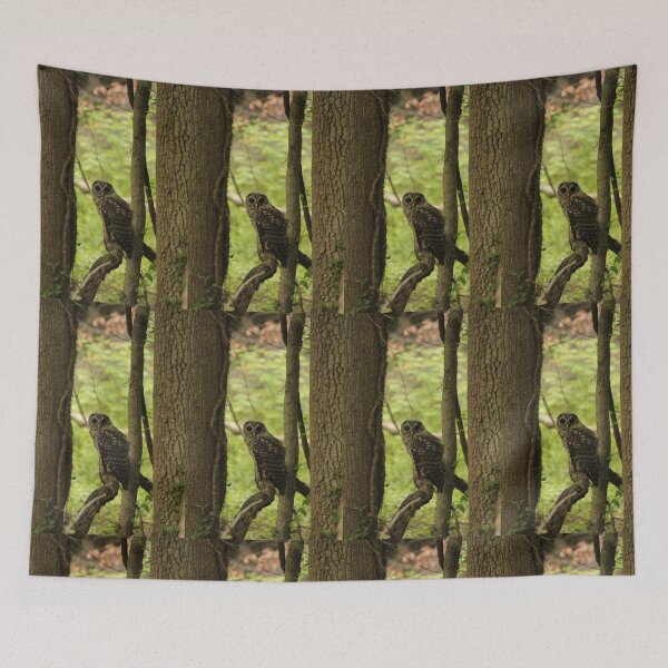 Item preview, Barred Owl designed and sold by elasita.