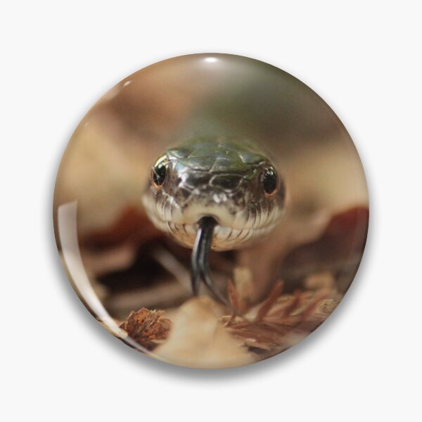 Item preview, Little Black Snake designed and sold by elasita.