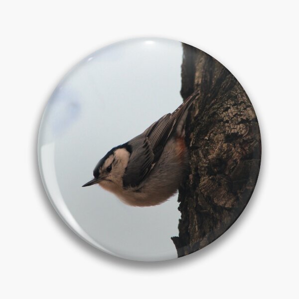 Item preview, White Breasted Nuthatch designed and sold by elasita.