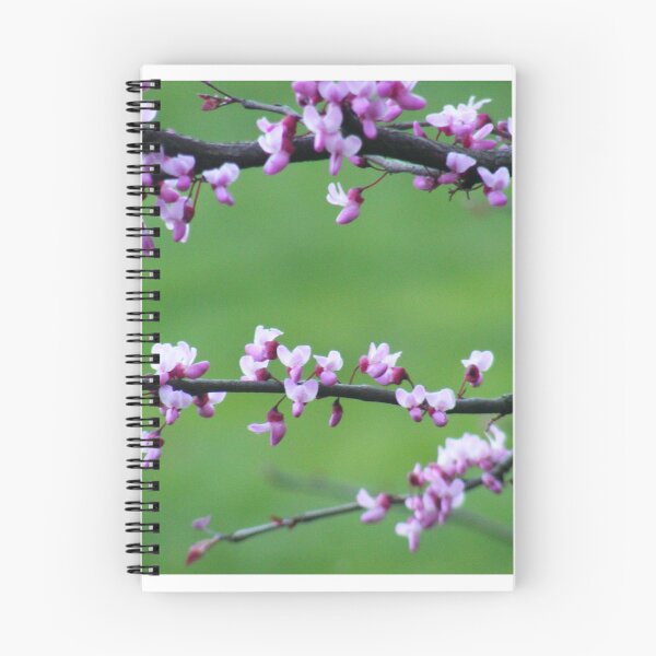 Item preview, Blossoms designed and sold by elasita.