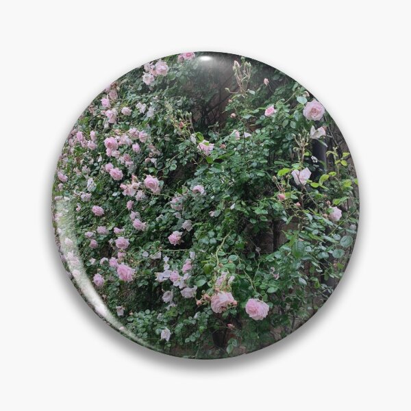 Item preview, century old riot of roses designed and sold by Jennco60.