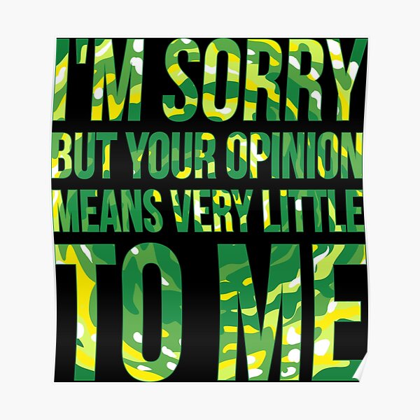 im sorry but your opinion means very little to me Poster
