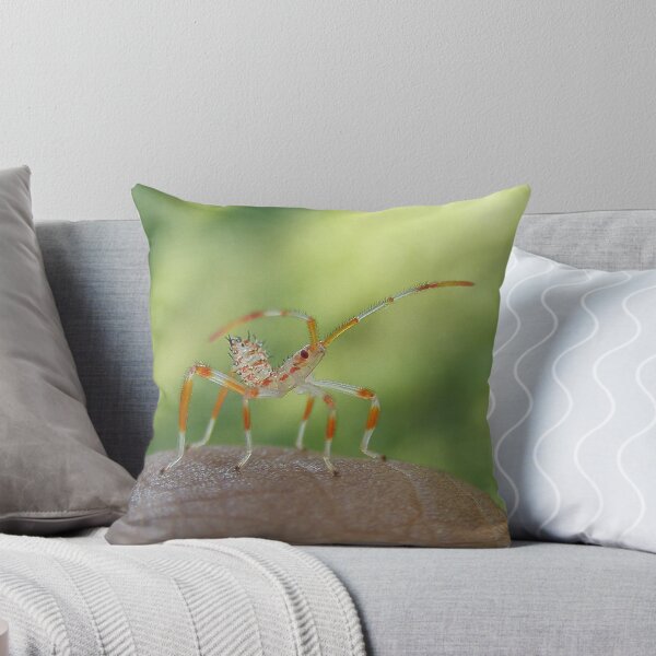Item preview, Sebastian the Shrimpbug designed and sold by elasita.