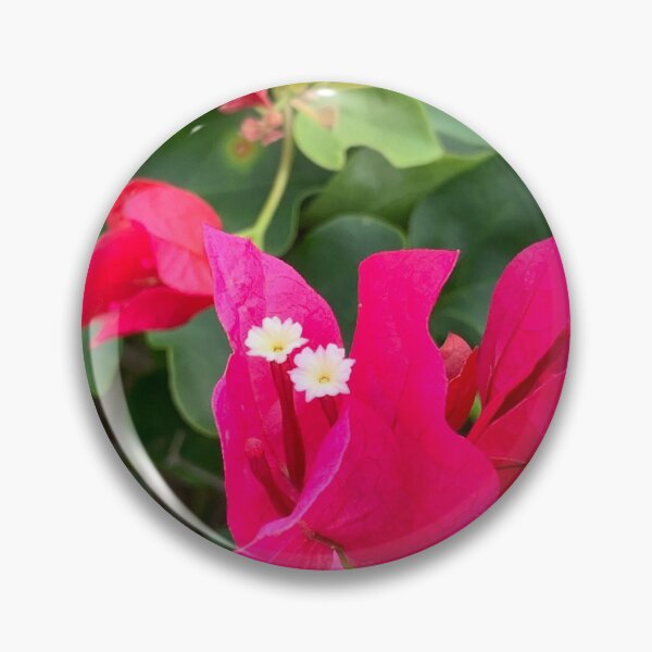 Artikelvorschau, Hawaii-Blume entworfen und verkauft von Jennco60.
