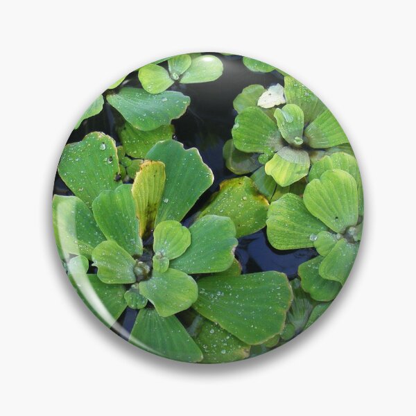 Artikelvorschau, Floating entworfen und verkauft von elasita.