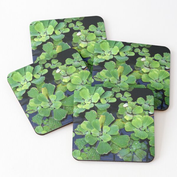 Item preview, Floating designed and sold by elasita.