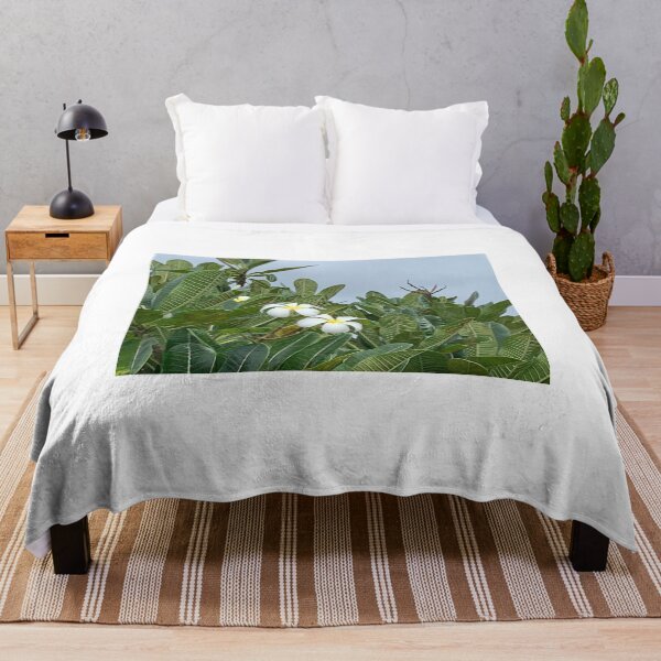 Artikelvorschau, Plumeria Hawaii entworfen und verkauft von Jennco60.