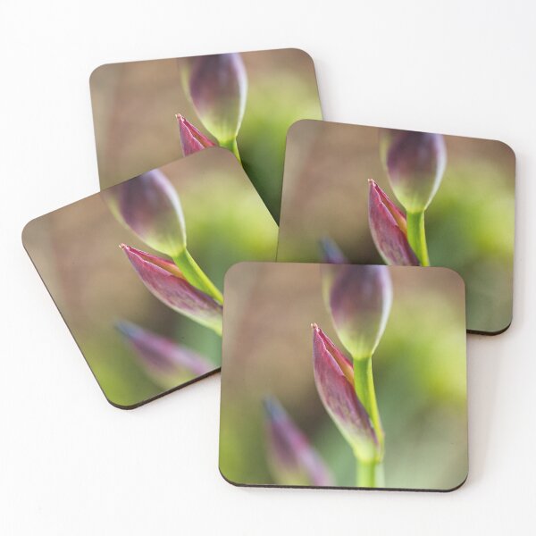 Item preview, Iris Leaf And Bud designed and sold by Joy Watson - Natural Light Photography .