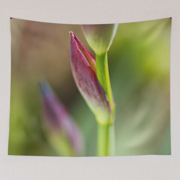 Item preview, Iris Leaf And Bud designed and sold by Joy Watson - Natural Light Photography .