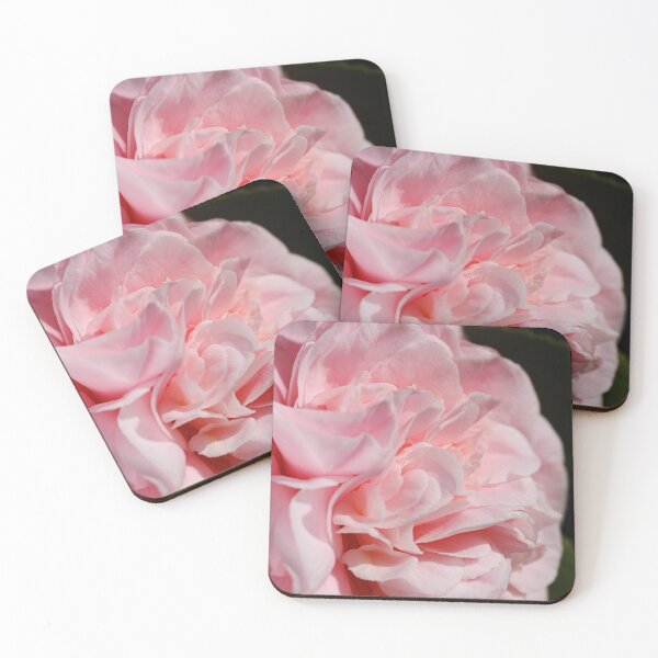 Item preview, Camellia Petal Pleats designed and sold by Joy Watson - Natural Light Photography .