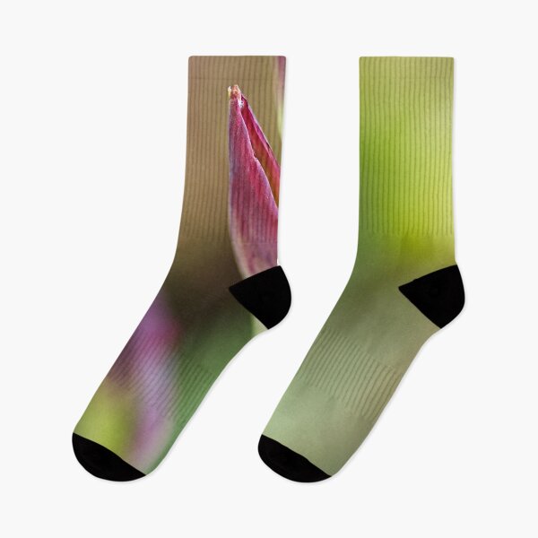 Item preview, Iris Leaf And Bud designed and sold by Joy Watson - Natural Light Photography .