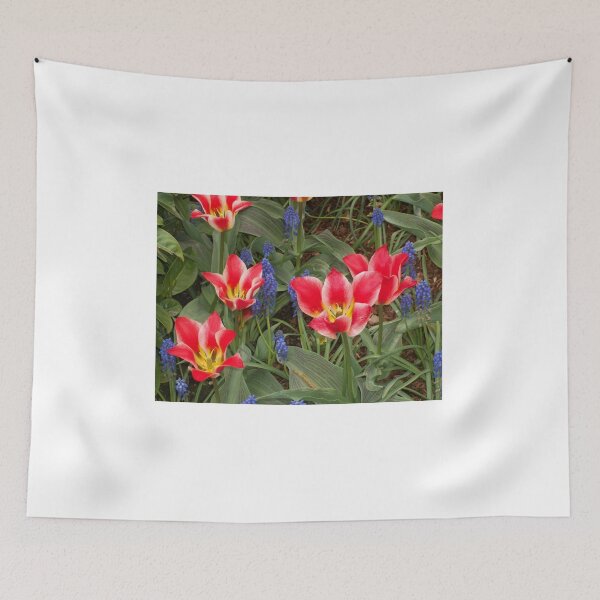Item preview, Tulips and grape hyacinth designed and sold by Jennco60.