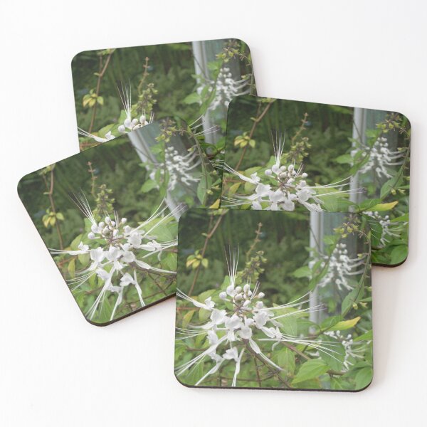 Item preview, tropical flower 3 designed and sold by Jennco60.