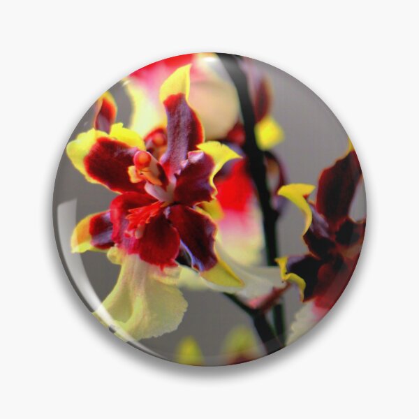 Item preview, Wonders Never Cease designed and sold by Michael May.