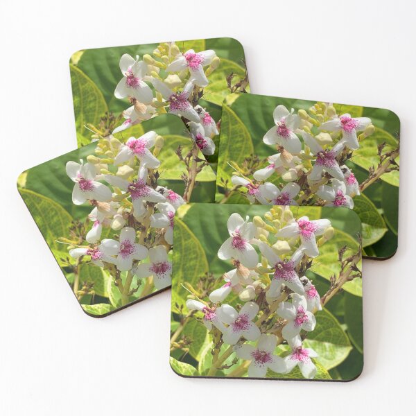 Item preview, Hawaiian flower designed and sold by Jennco60.