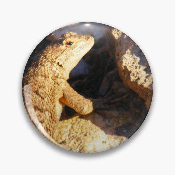 Item preview, Desert Spiny  designed and sold by elasita.
