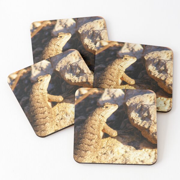 Item preview, Desert Spiny  designed and sold by elasita.