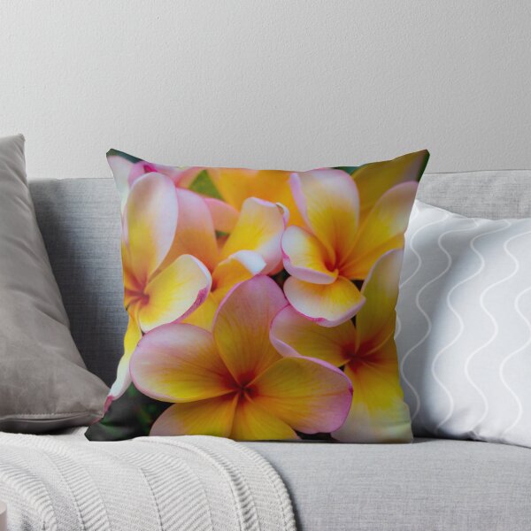 Item preview, Frangipani 22Nov15 designed and sold by Keith's Photo Artistry.