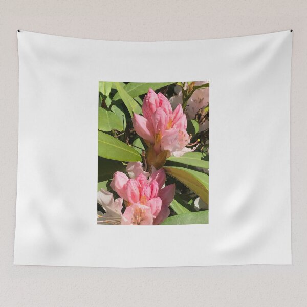 Item preview, Coral rhodendron designed and sold by Jennco60.