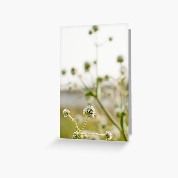 Highline Flowers Greeting Card