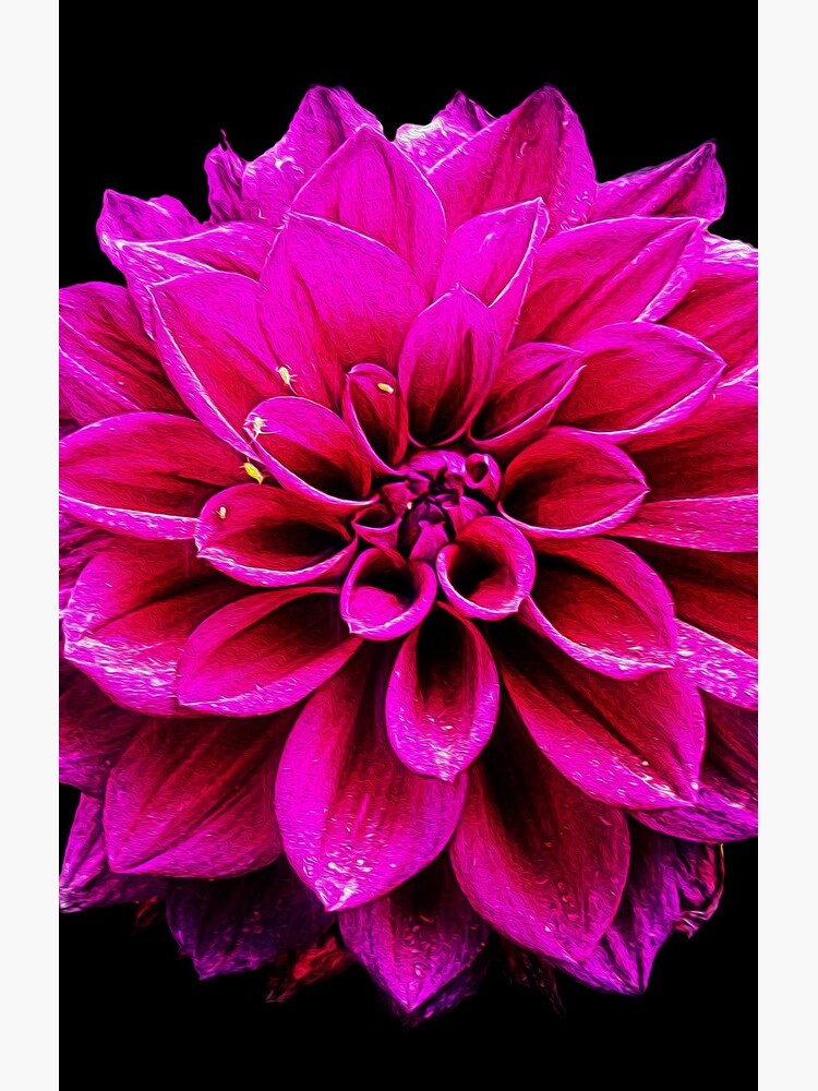 Aperçu 4 sur 4. Coque Samsung Galaxy avec l'œuvre être violet. créée et vendue par Trebolazul.