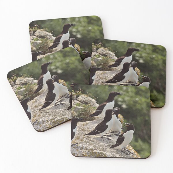 Item preview, Razorbill Cliff designed and sold by DreamLand-Media.