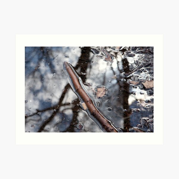 Puddle Twig Art Print