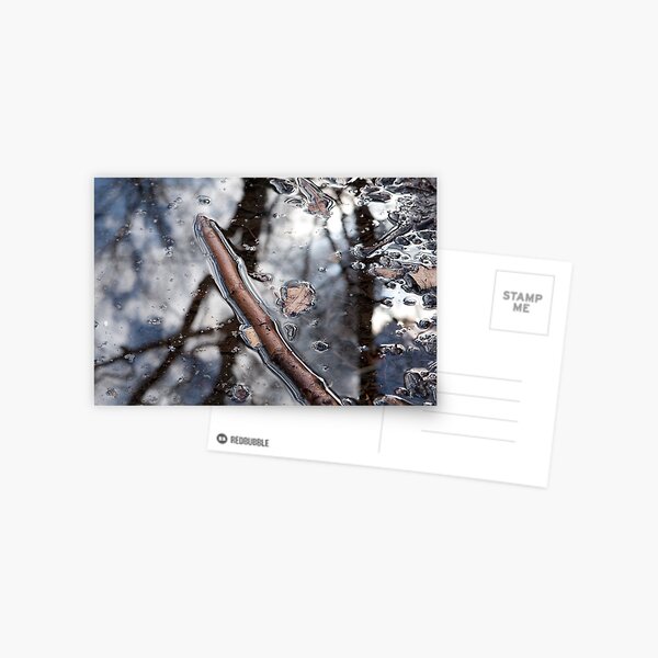 Puddle Twig Postcard