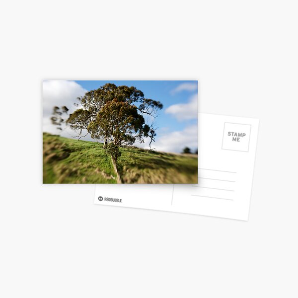 Gum Tree Postcard