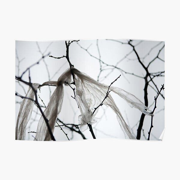 City Tree Poster