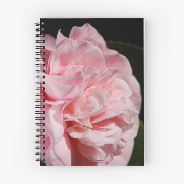 Item preview, Camellia Petal Pleats designed and sold by Joy Watson - Natural Light Photography .