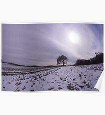 Sun Over A Lone Tree Poster
