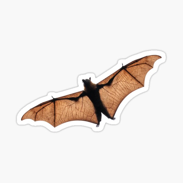 Fruit Bat In Full Flight Sticker