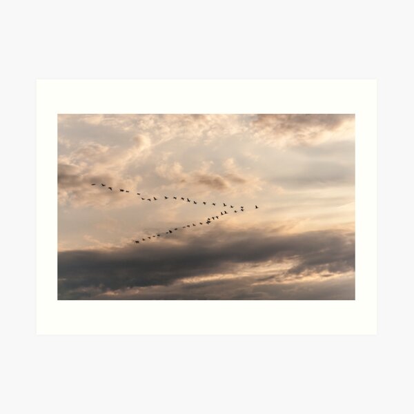 So Long, and Thanks for All the Fish Art Print