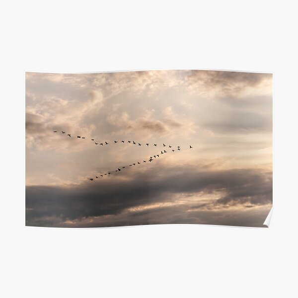 So Long, and Thanks for All the Fish Poster