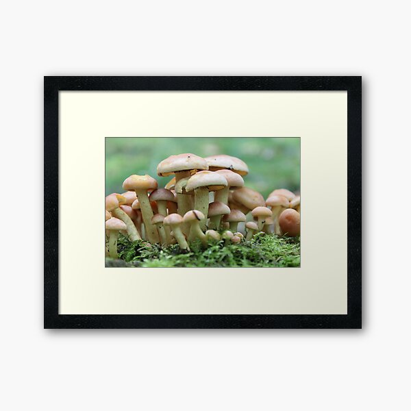 A Crowd of Mushrooms Framed Art Print