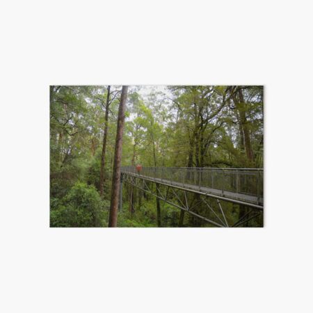 Item preview, Treetops walkway in rainforest  designed and sold by Ellen  Henry.