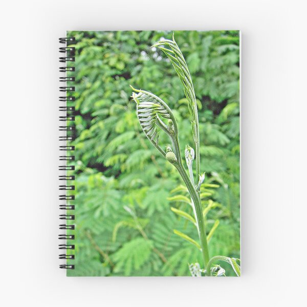 Item preview, Arts treetops are growing flowers light designed and sold by sellgreengroup.