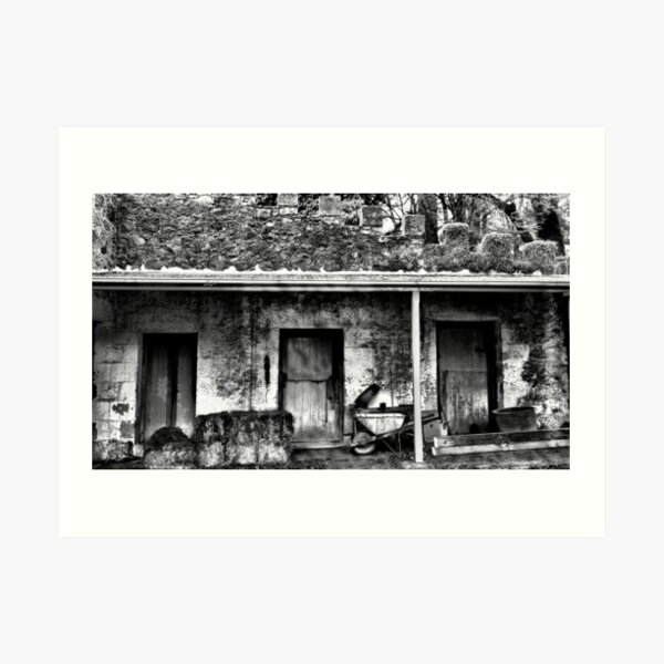 The Stables - Wynstay - Mt Wilson NSW Art Print